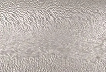 PRO100CG