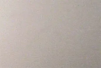 PRO100MG